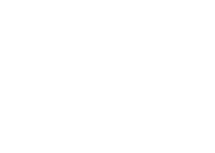 cabanes-arbres