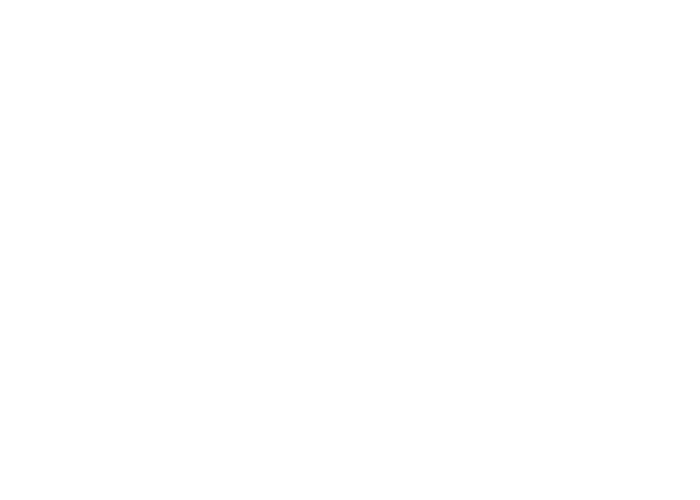 sarava-logo