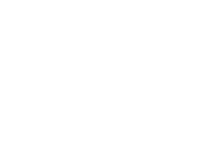 vikuss-logo